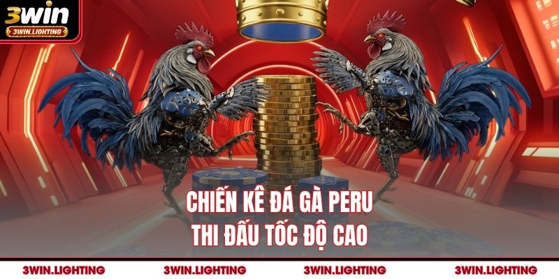 Chiến kê đá gà Peru thi đấu tốc độ cao